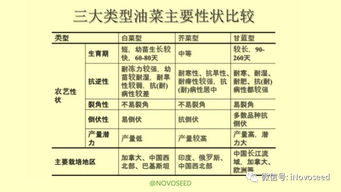 農(nóng)產(chǎn)品基礎(chǔ)知識(shí)系列之油菜的一生 從種子到餐桌的初探