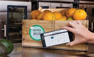 從田野到全球 荷蘭農(nóng)業(yè)百年演進(jìn)與中國(guó)初級(jí)農(nóng)產(chǎn)品發(fā)展的啟示