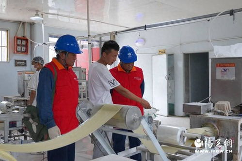 國網西安長安區供電公司 優質電力服務賦能食品加工，網絡技術助力區域經濟發展